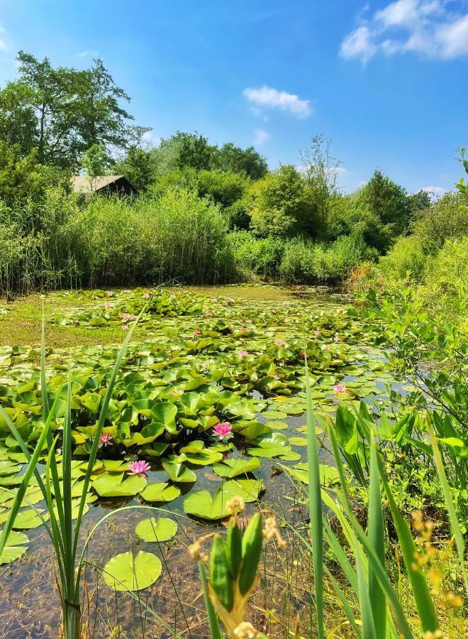 Uylkenshof Safaritenten En Natuurhuisjes Epe Exterior foto